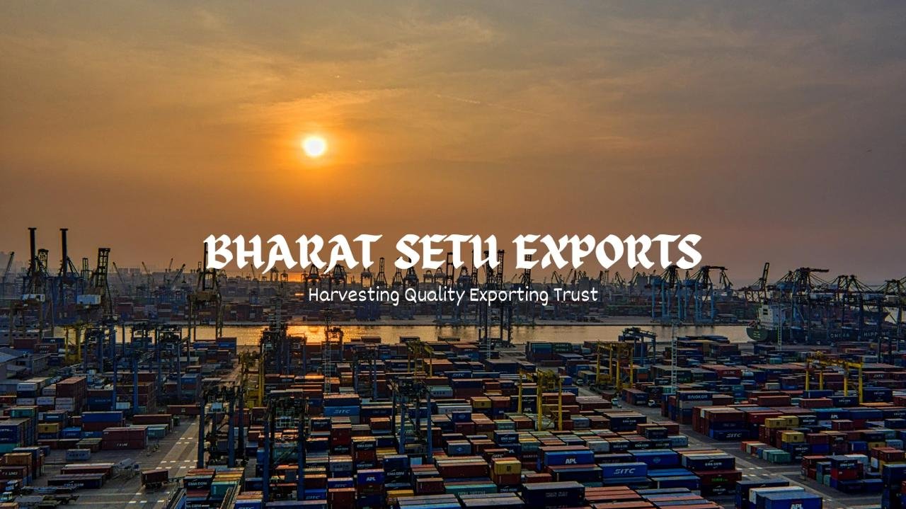 WhatsApp Image 2026-02-13 at 2.27.53 AM