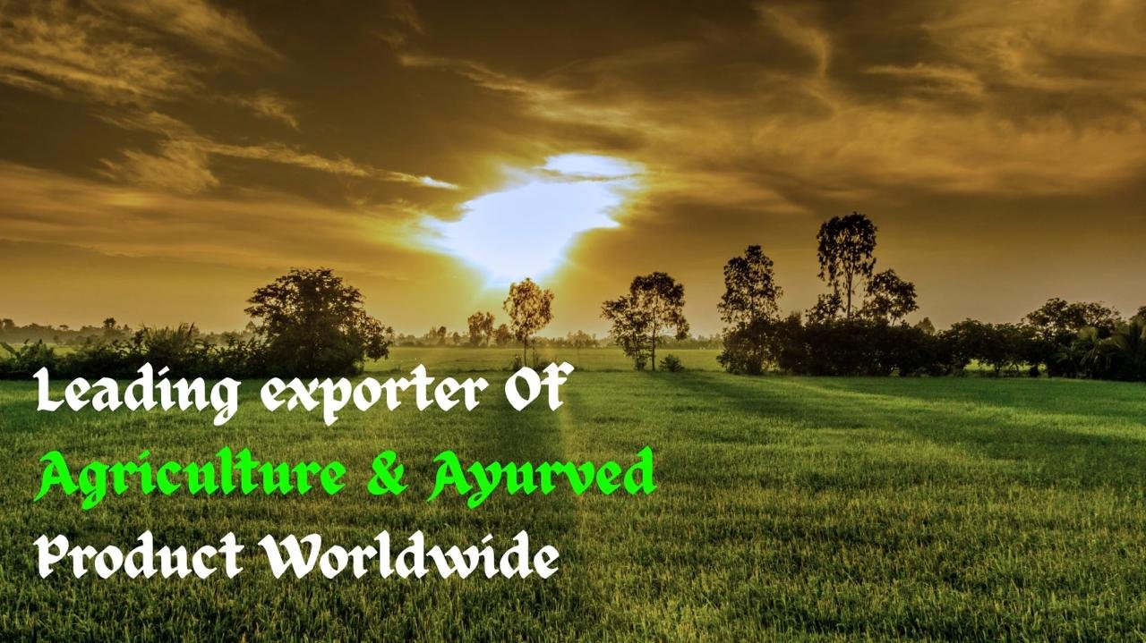 WhatsApp Image 2026-02-13 at 2.33.00 AM